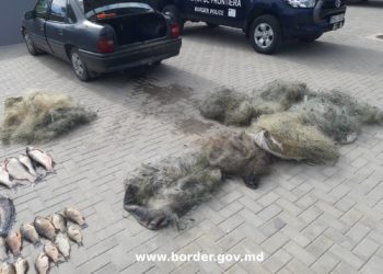 Circa 40 kg de pește, prins ilegal în apele de frontieră