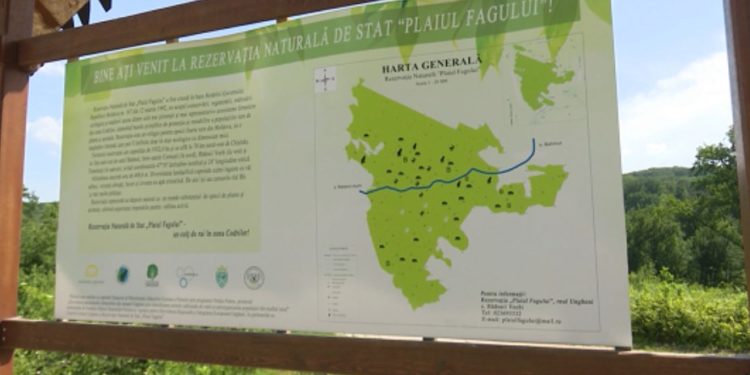 Bombă de aproximativ 100 de kilograme, descoperită pe teritoriul Rezervației „Plaiul Fagului”. Ce spune poliția | VIDEO