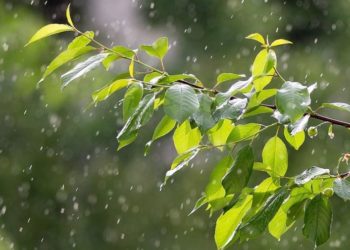 Se răcorește vremea și revin ploile, în weekend: Ce temperaturi vom avea astăzi