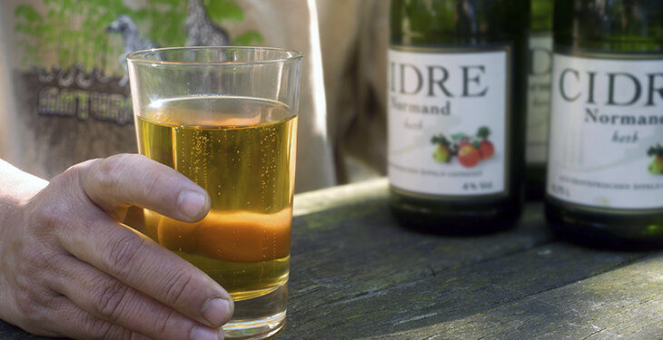 Число отравившихся сидром в России увеличилось до 106 человек, умерли 36