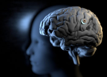 Elon Musk a anunțat că, până la sfârşitul anului, vrea să implanteze primul cip în creierul unui om