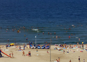 Miniștrii Mediului din Bulgaria și România avertizează asupra informațiilor false despre riscul de holeră: „Sunt fără fundament”