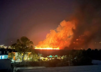 В Турции огонь лесных пожаров вплотную подошел к отелям