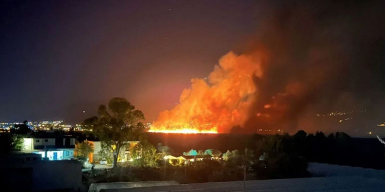 В Турции огонь лесных пожаров вплотную подошел к отелям