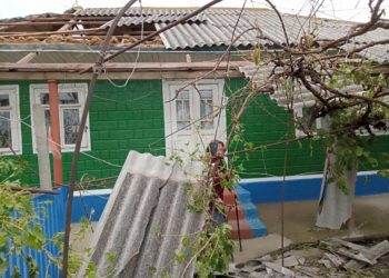 Град размером с теннисный мяч и уничтоженные посевы: Непогода продолжает наносить ущерб сельхозугодиям страны. Что говорят в минсельхозе | VIDEO