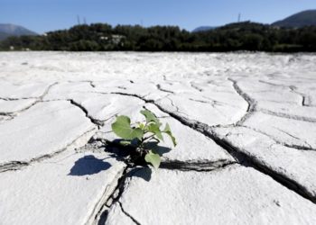 3 июля стал самым жарким днем на планете в истории наблюдений