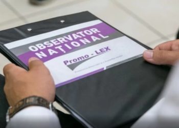 Promo-LEX критикует инициативу Олеси Стамате о запрете членам партии «Шор» участвовать в выборах