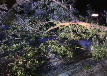 Prăpăd în mai multe localități din țară după ploaia de aseară: Copaci doborâți, drumuri blocate și localități rămase parțial sau total fără curent | VIDEO