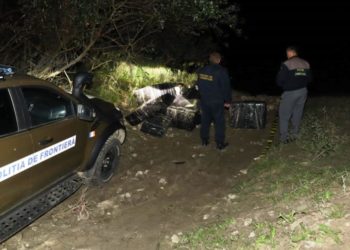 Пограничники обнаружили крупную контрабанду сигарет на молдо-румынской границе