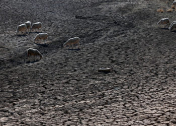 Europa rămâne fără apă. Imaginile din Franța, Spania sau Germania arată un tablou de necrezut acum câțiva ani