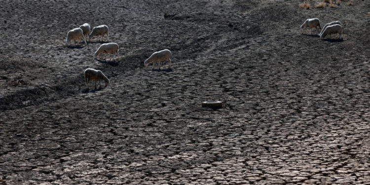 Europa rămâne fără apă. Imaginile din Franța, Spania sau Germania arată un tablou de necrezut acum câțiva ani