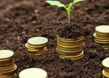 AIPA: Un miliard de lei a fost debursat de la începutul acestui an, în conturile beneficiarilor de subvenții. Ce spune ministrul Agriculturii despre formele de subvenționare | VIDEO