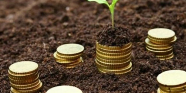 AIPA: Un miliard de lei a fost debursat de la începutul acestui an, în conturile beneficiarilor de subvenții. Ce spune ministrul Agriculturii despre formele de subvenționare | VIDEO
