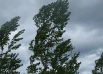 O nouă avertizare meteorologică: Cod galben de vânt puternic în toată țara