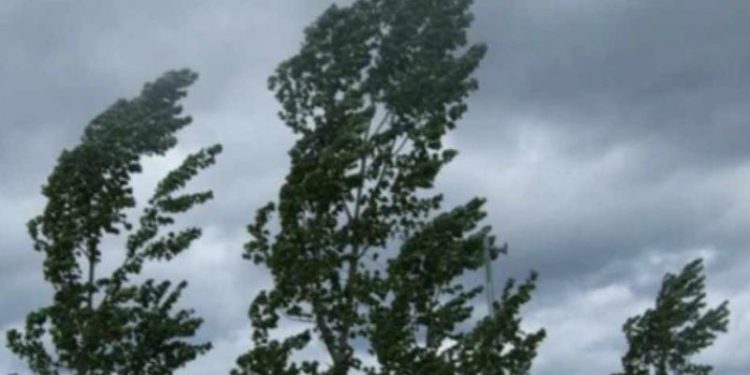 O nouă avertizare meteorologică: Cod galben de vânt puternic în toată țara