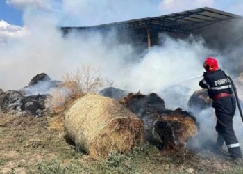 Трагедия в Единцах: Трехлетний ребенок заживо сгорел в стогах соломы