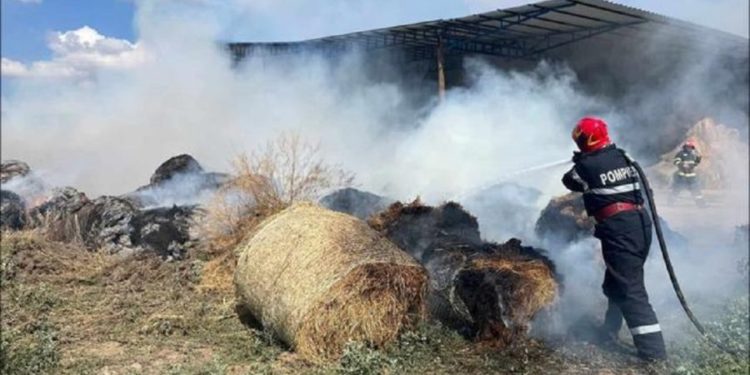 Трагедия в Единцах: Трехлетний ребенок заживо сгорел в стогах соломы