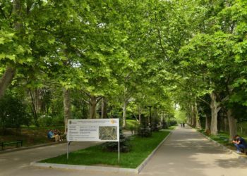 O fată de 14 ani a fost violată în parcul „Valea Trandafirilor” de la Botanica