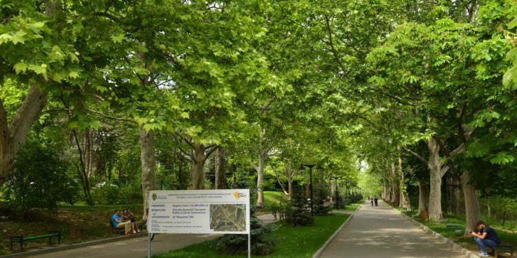 O fată de 14 ani a fost violată în parcul „Valea Trandafirilor” de la Botanica