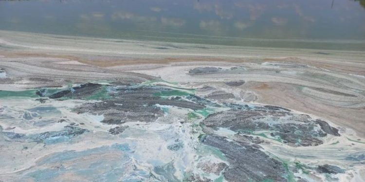 Fenomen ciudat, observat pe un lac din Vulcănești: Apa, colorată în verde