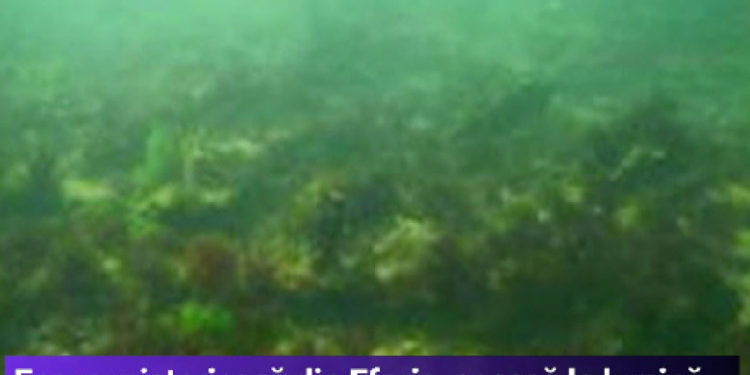 O corabie misterioasă de 200 de ani a fost descoperită în Eforie. Arheolog: „E prima cercetare din România a unei epave în nisip” | VIDEO