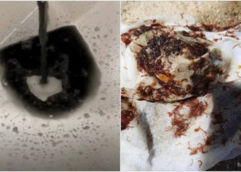 Momente de groază pentru locuitorii din Hîncești: Din robinetele acestora curge apă neagră și cu viermi. Cum explică autoritățile | VIDEO