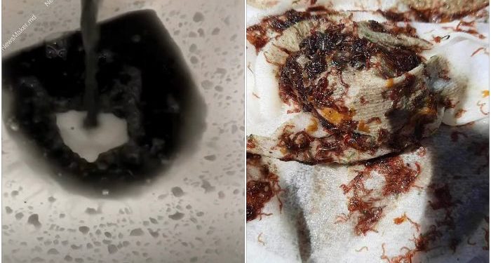 Momente de groază pentru locuitorii din Hîncești: Din robinetele acestora curge apă neagră și cu viermi. Cum explică autoritățile | VIDEO