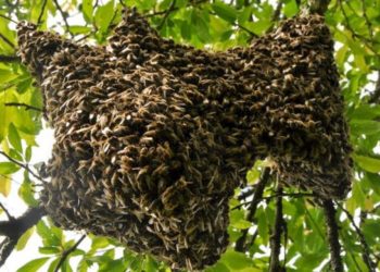 Двухлетний мальчик получил ожоги 2-й и 3-й степени: трагедия в Фалештском районе