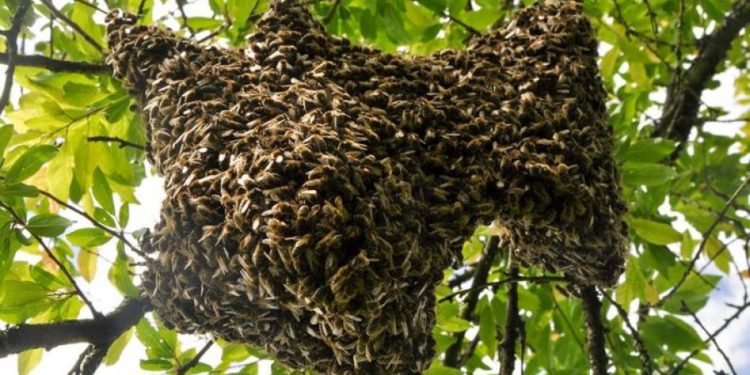 Двухлетний мальчик получил ожоги 2-й и 3-й степени: трагедия в Фалештском районе