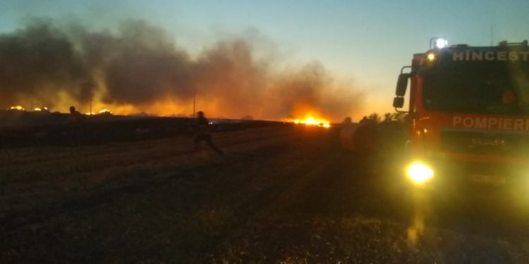 Canicula face pagube: Zeci de hectare cu cereale, dar și tehnică agricolă au fost nimicite de flăcări în raioanele țării | VIDEO