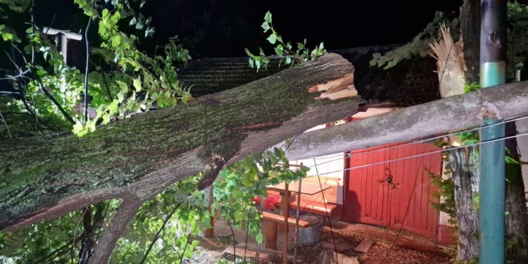 Distrugeri masive în urma furtunii și a ploilor din 25 iulie: La această oră, aproape 40 de localități rămân încă fără electricitate | VIDEO