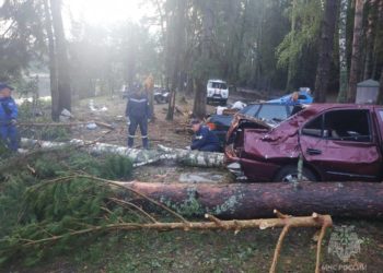 В России во время урагана деревья завалили палаточный лагерь с туристами. Погибли восемь человек, 20 человек пострадали