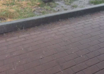 S-au pornit șuvoaie puternice de ploaie, însoțită de grindină, în suburbiile capitalei