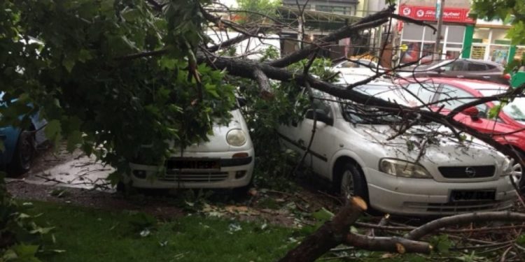 Повреждены машины и балконы: на Ботанике в жилом квартале упало дерево | VIDEO