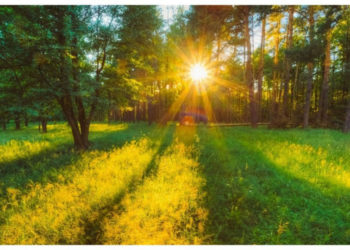 Vremea de afară, continuă să se încălzească. Ce temperaturi ne așteaptă astăzi