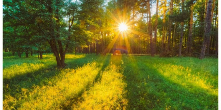 Vremea de afară, continuă să se încălzească. Ce temperaturi ne așteaptă astăzi