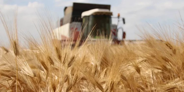 Эксперты LEX-ECON Consulting разработали план конкретных мер, которые могут спасти аграрный сектор Молдовы. Илан Шор обещал  финансовую поддержку | VIDEO