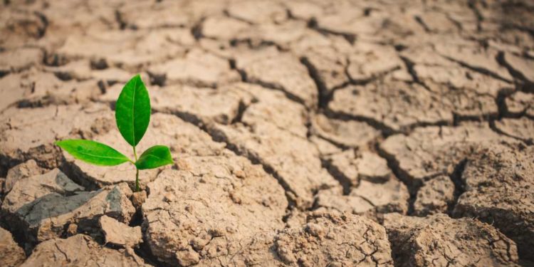 Июнь стал самым жарким месяцем в Европе за всю историю наблюдений