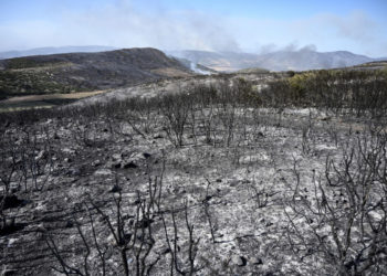 „Apocalipsa” în imagini. Cum arată zonele din Grecia distruse de incendiile puternice