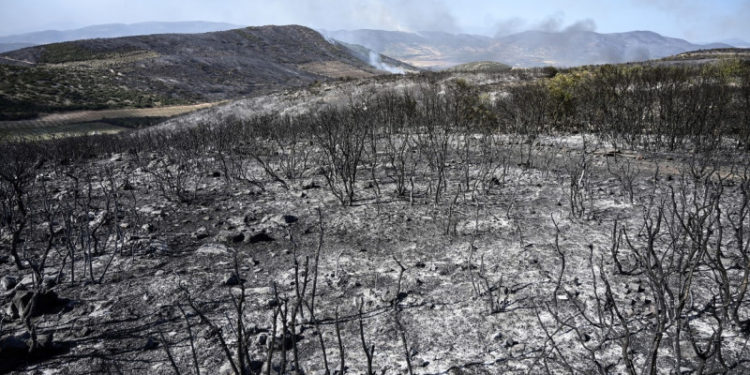 „Apocalipsa” în imagini. Cum arată zonele din Grecia distruse de incendiile puternice