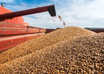 Для облегчения транзита зерна: власти Кишинева намерены построить три причала на реке Прут