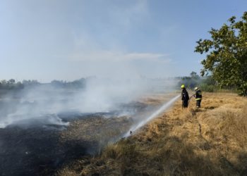 Житель Унгенского района отравился дымом, пытаясь самостоятельно потушить пожар в лесопосадке