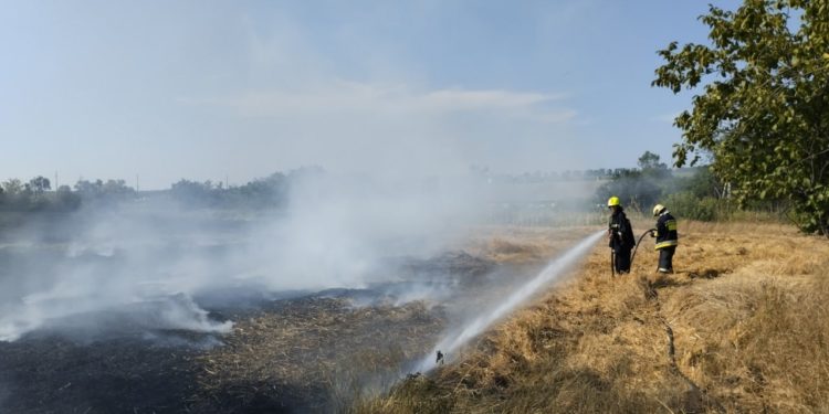 Житель Унгенского района отравился дымом, пытаясь самостоятельно потушить пожар в лесопосадке