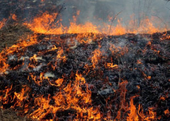 Meteorologii anunță Cod galben de pericol de incendiu. Recomandări pentru cetățeni | VIDEO