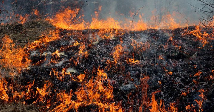 Meteorologii anunță Cod galben de pericol de incendiu. Recomandări pentru cetățeni | VIDEO