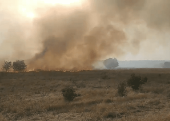Больница в Бельцах осталась без света из-за намеренного поджога сухостоя: предупреждение RED-Nord