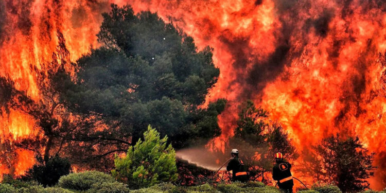Еврокомиссар: Лесные пожары в Греции стали крупнейшими в истории ЕС