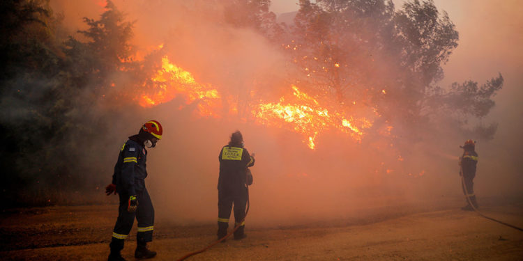 Греческие спасатели не могут взять под контроль масштабные лесные пожары
