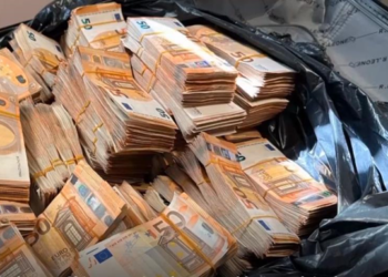 В Италии полицейская собака унюхала в багаже женщины более миллиона евро