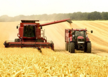 Fermierii vor primi 200 de milioane de lei. Dorin Recean: Sper că agricultorii apreciază acest fapt | VIDEO